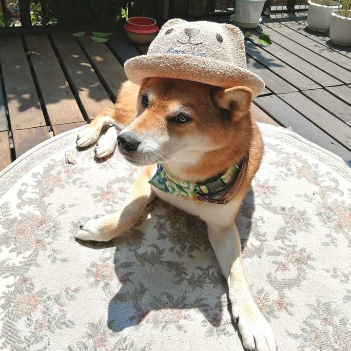 F5847185 d336 4549 a143 0099156d011a 1596511816207