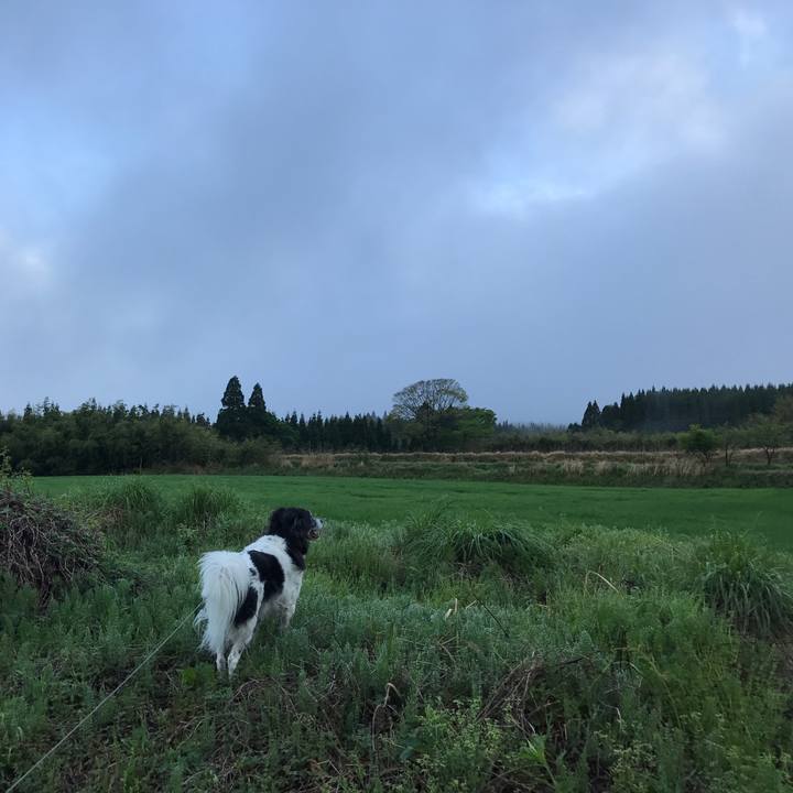 F5849323 08f2 4373 8daf d8e6fd0d58b4 1524618812453