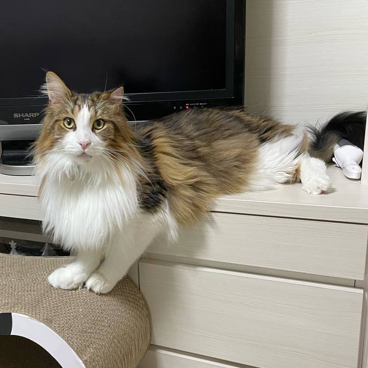 F5849ec0 cee1 4883 8ccd 2de46f48cf0a 1676752852085