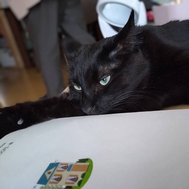 F584a790 8005 41de aaf2 d78bacda582f 1745916676886