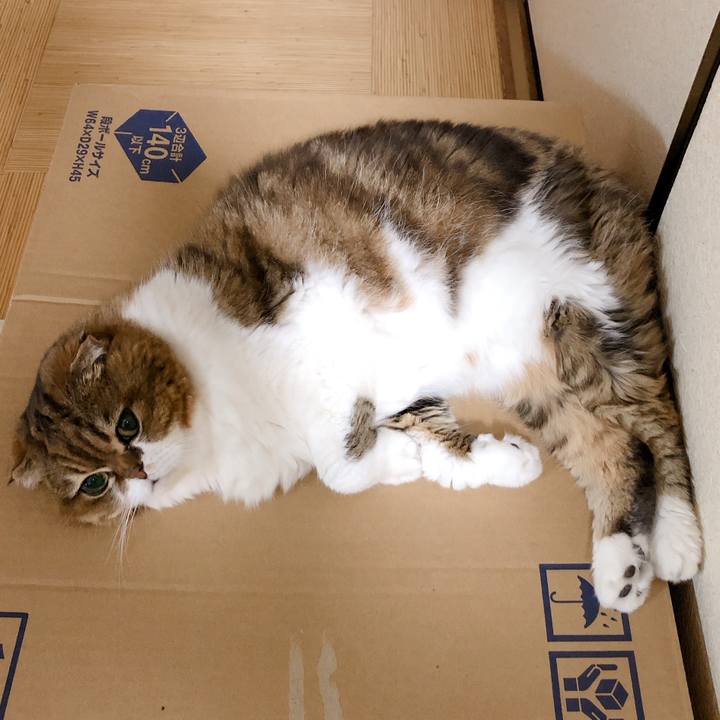 F584aae0 e0d5 4e9b 898c 749d39059193 1600877051083