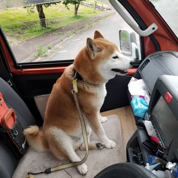 F584c747 9864 4e16 87d1 8127d7779352 1653639800186