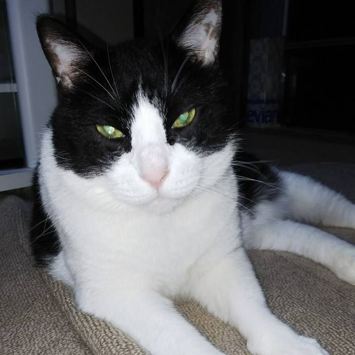 F584e153 44a0 466e a203 f3927eed2685 1533680073120