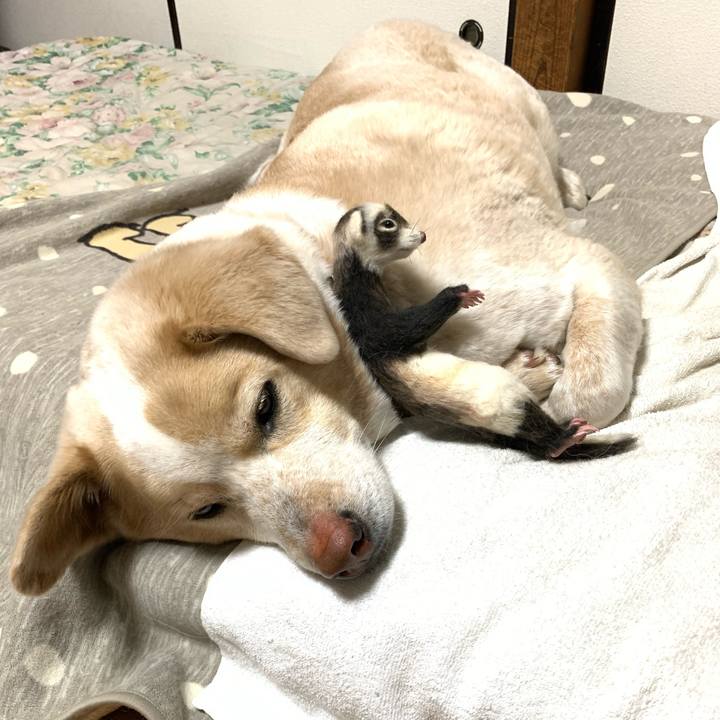 F5850727 1c4f 4d82 970a 92f168e0eab1 1583507217932