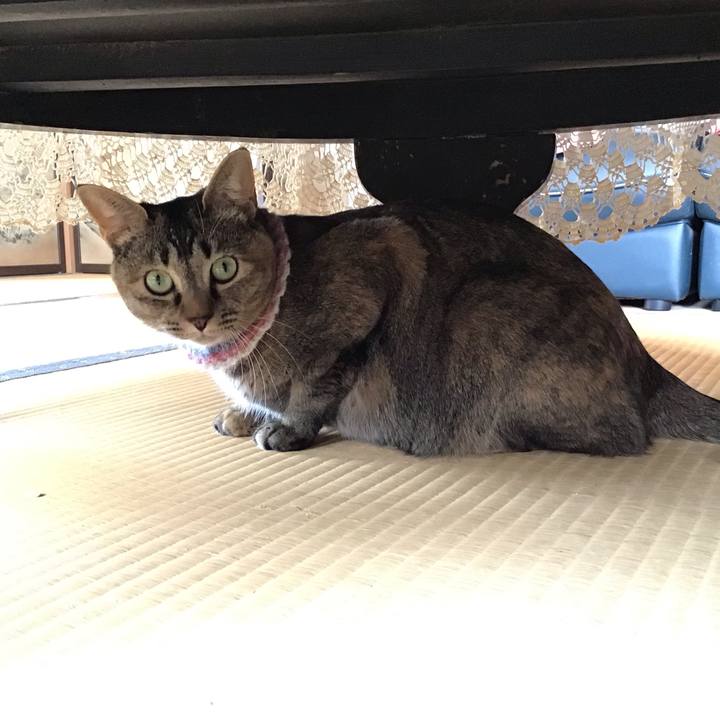 F5850f5c ac36 4650 8b66 a4cedc77c9ce 1619067435697