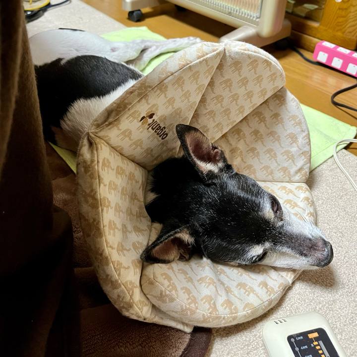 F5852432 847f 476a adb9 4a578779b1ba 1639304748919