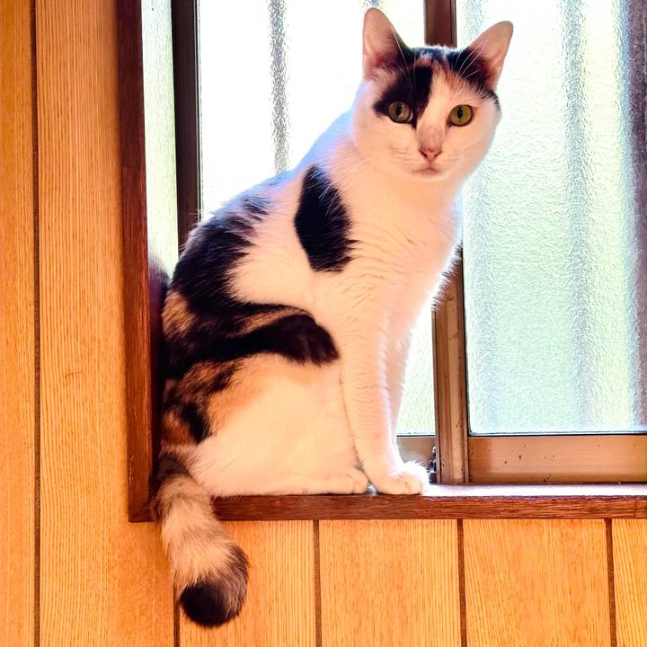 F585323c eb8a 4203 922c be2cf8916202 1696122918586