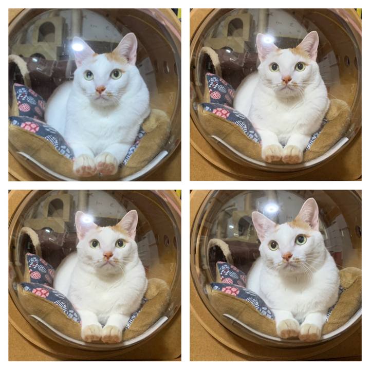 F5855a99 a2f5 4f2d b224 6ad66cbf9590 1633358167743