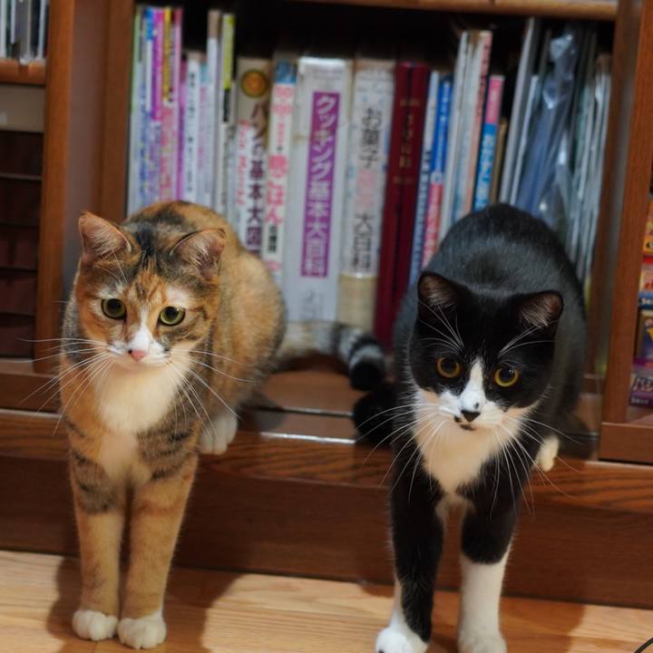 F5856bd6 f797 4eb0 b45d a3e0021845e1 1632902435425