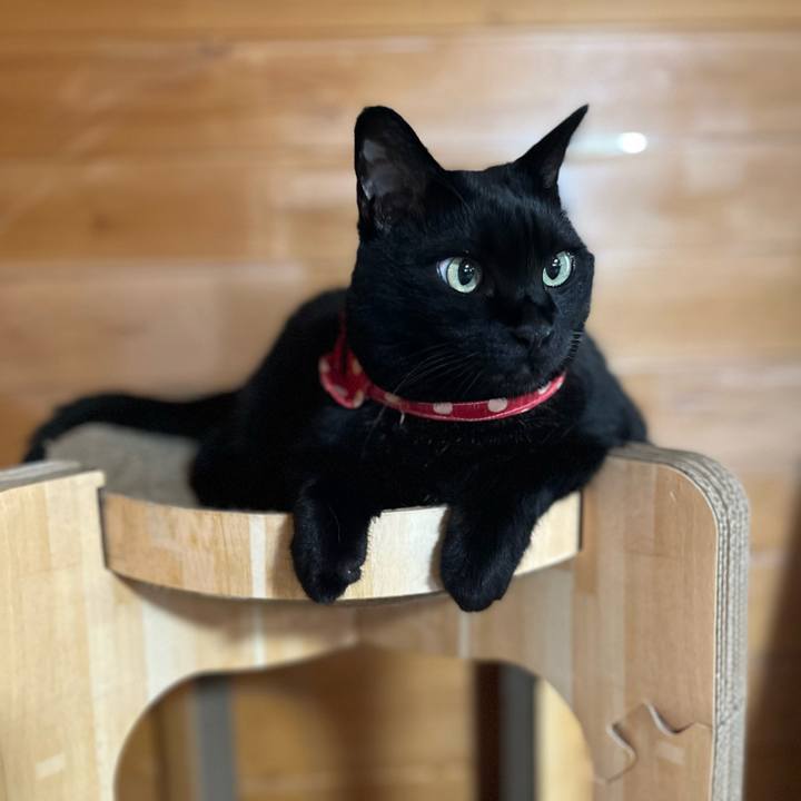 F585a281 92a5 4f51 9eb9 dddfb6ddf914 1752542887547