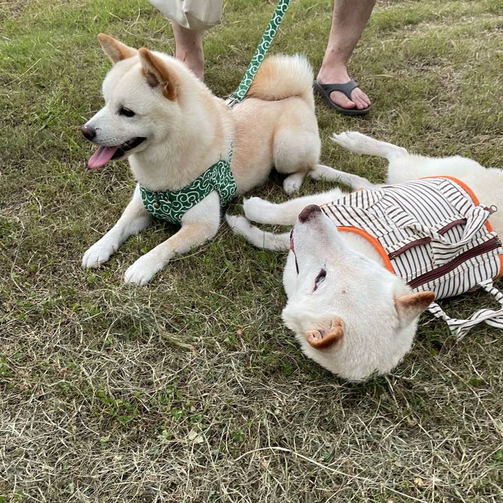 F585a675 baf3 495e 82d2 a48cb3e1a1e3 1659013607471