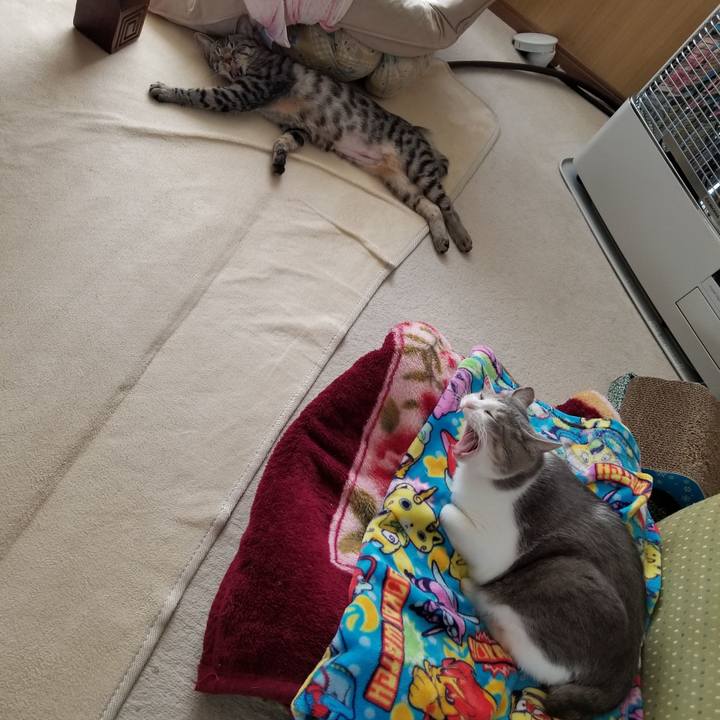 F585cbf5 e0e1 4f32 a9a4 73fd943daa6e 1675483733131