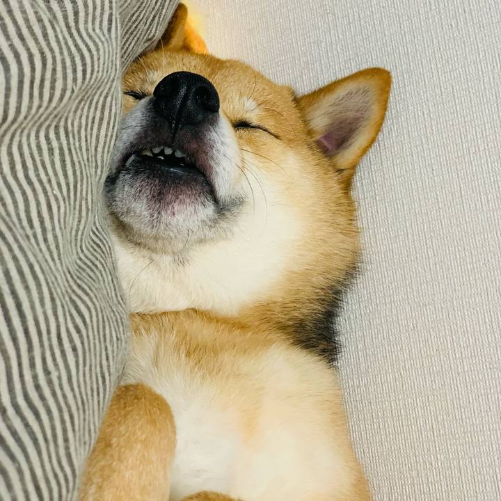 F585db7b c90f 42f4 a4e9 10769e8a2426 1772905657051