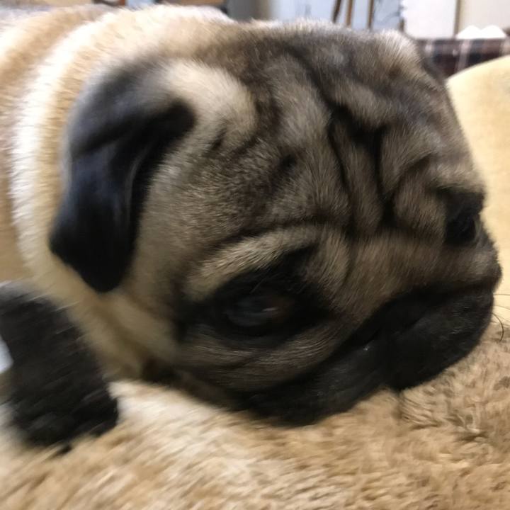 F58628d2 9d95 4a8c bfa1 8995667a81e7 1523274672525