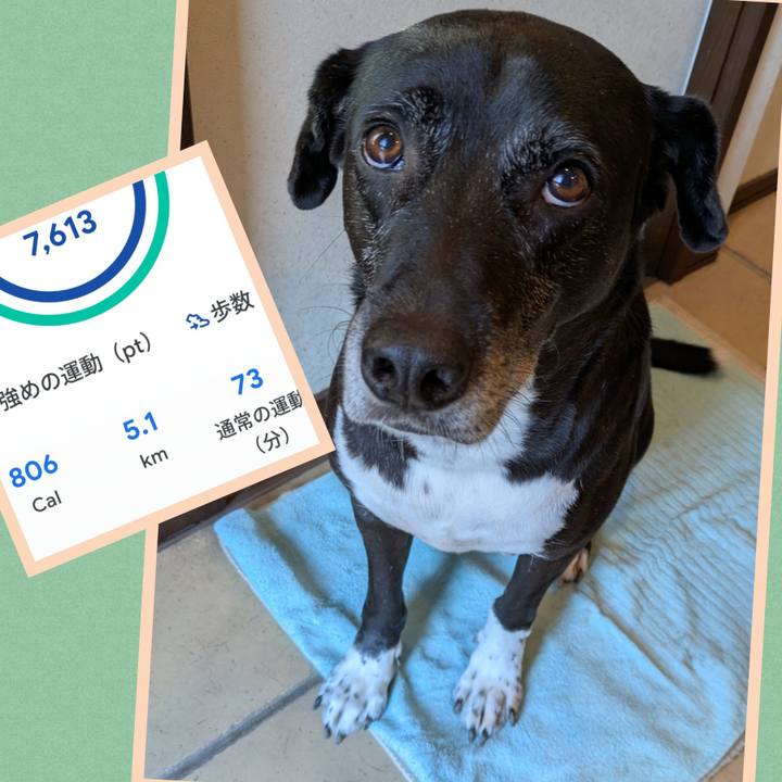 F58632ba 7571 44de 9859 c07854793798 1732238089055