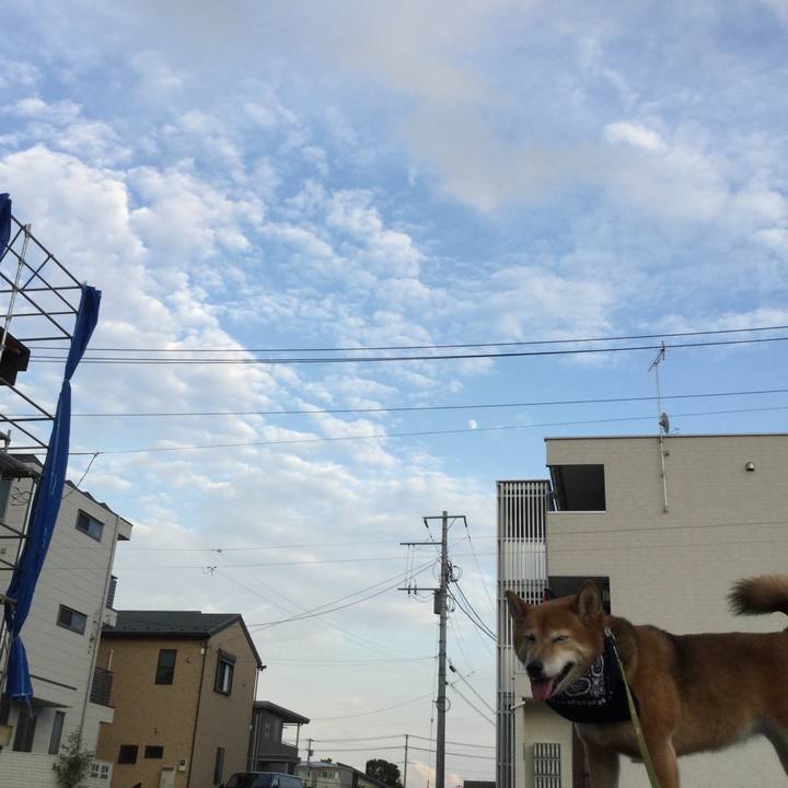 F586569d 9386 4da8 8a47 43bef9624d7f 1565517528267