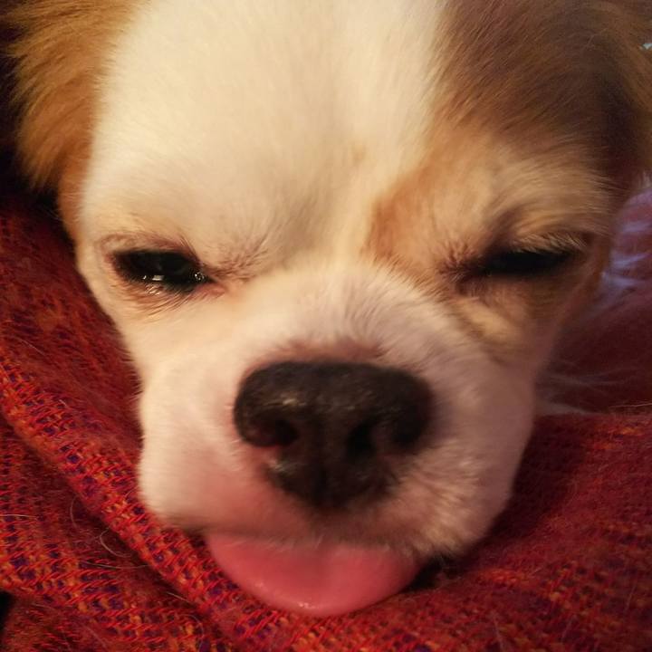 F58660bc 0e29 44ba a84d 9d99c6e7bfd7 1515822880193