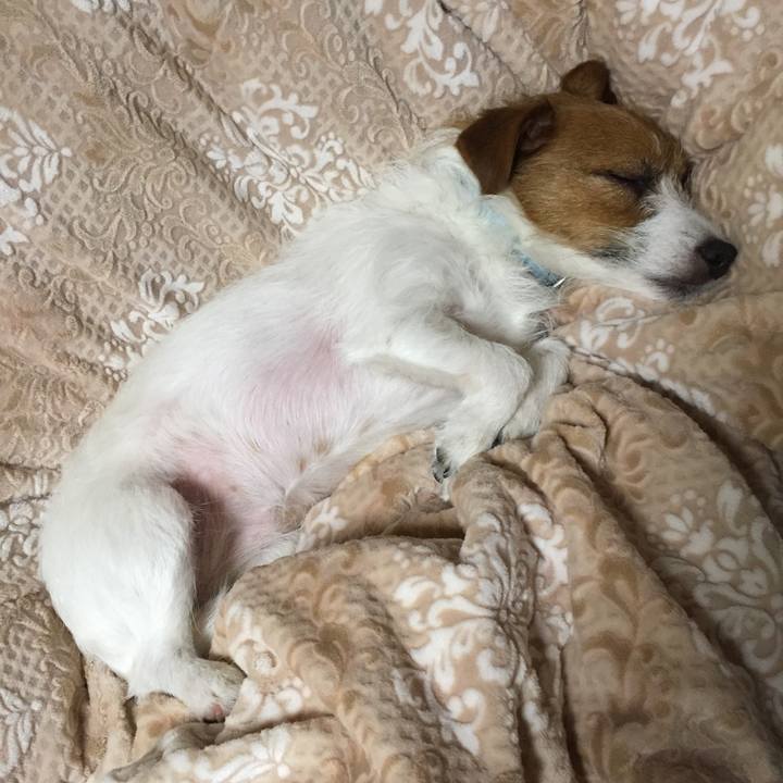 F58664b8 9d42 4959 8be7 482c573bf1f7 1511692718038