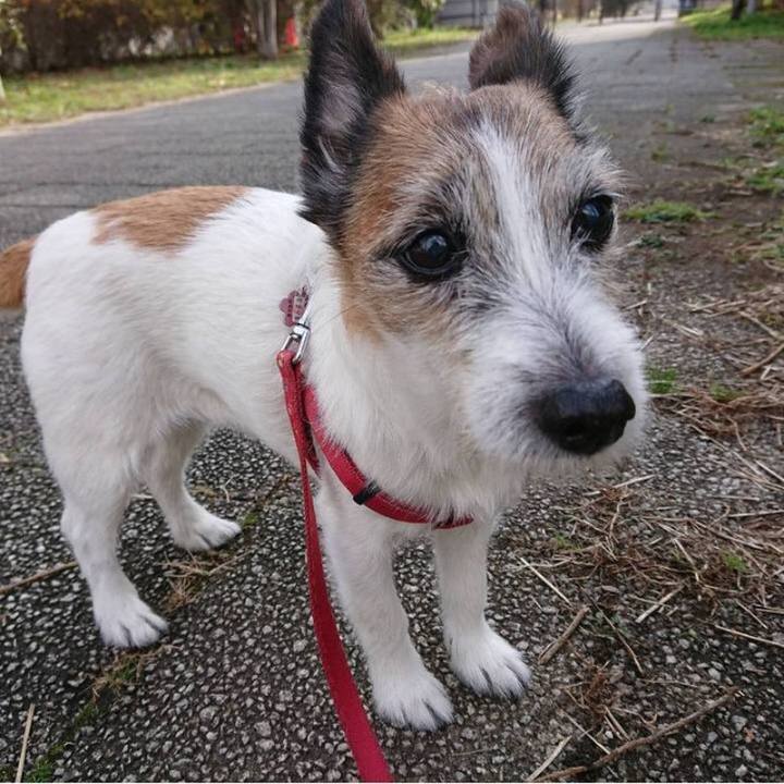 F586657b 0751 4f0b 926d 05c034994154 1642564273148