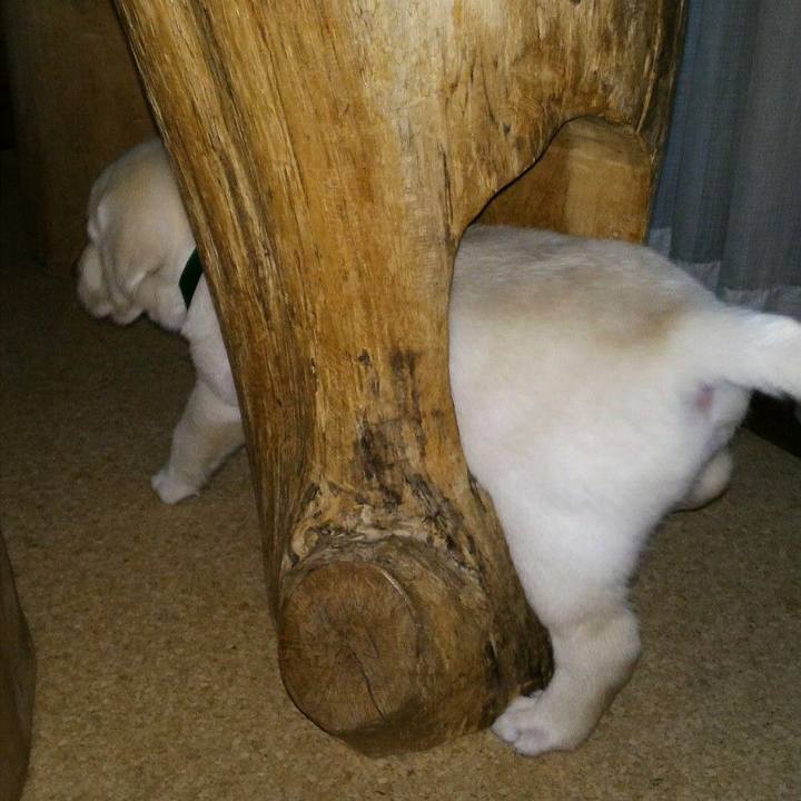 F58696f4 b2a2 4a78 ae6c 4523587232db 1567645026712