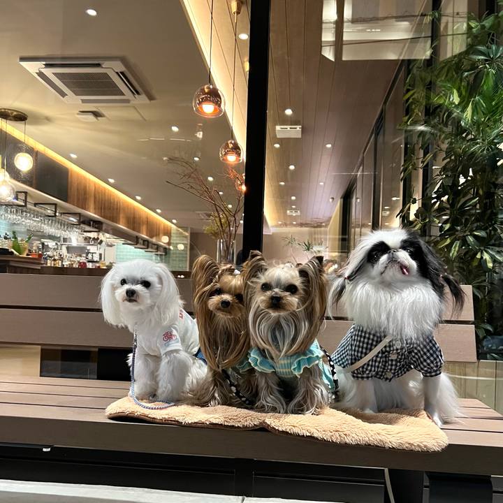 F586bfc9 ba02 4fe4 b23b e15c6981068b 1712446036183