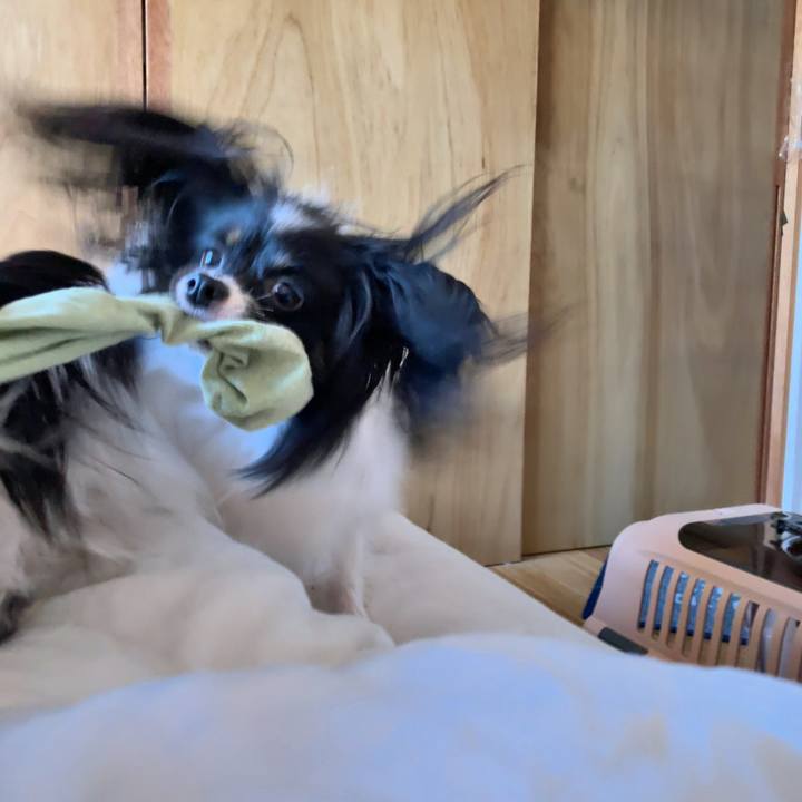 F586d1bf c36b 40b8 a845 24f61daa0b13 1542755243261