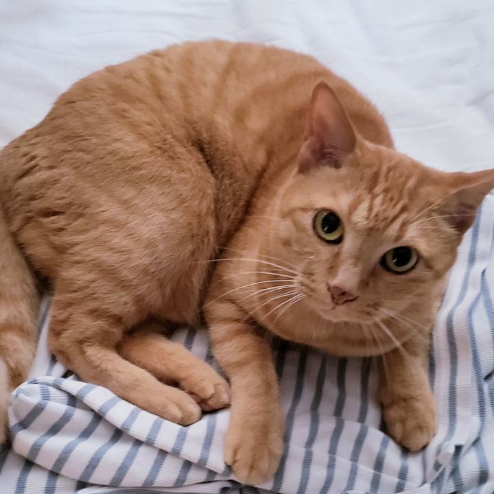 F586d9b0 eab5 4323 97e4 9b1fa8fcb6bb 1717379311850