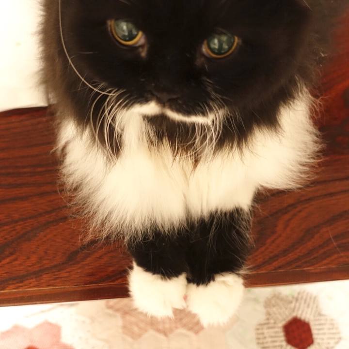 F586e49f efd0 485d b5e6 4c10cb9a1dce 1557929327416