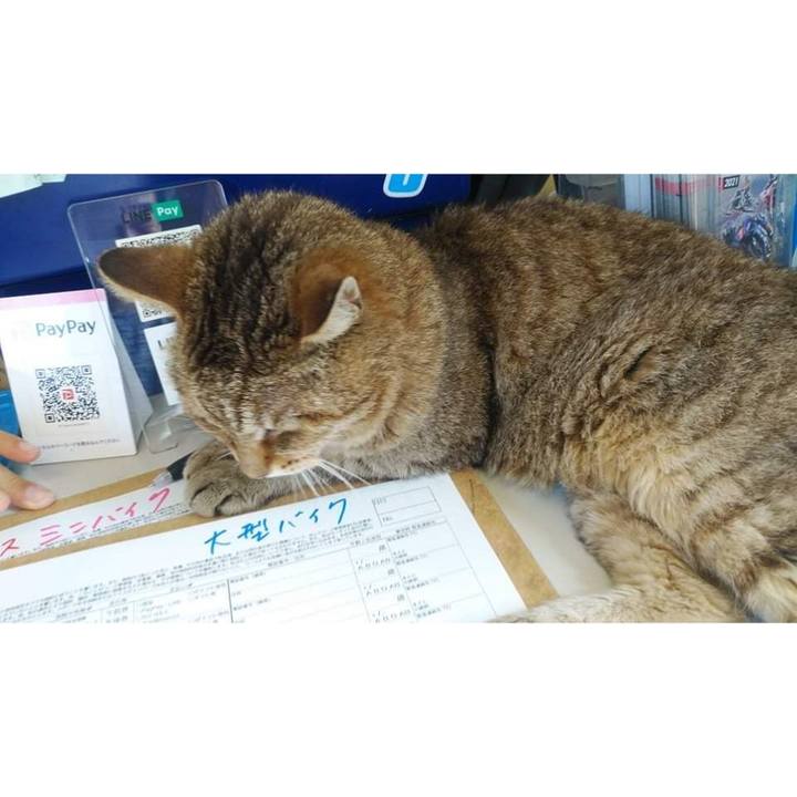 F586e860 d4ea 4f08 834a 7ba987a0fdf1 1626405297050