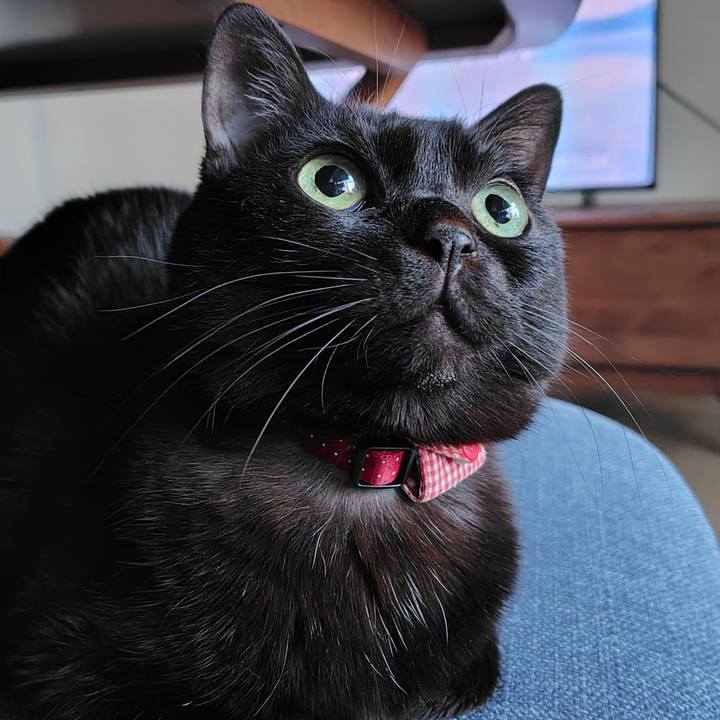 F5870e2b 806e 4527 8b59 984be106fb6a 1768256753327