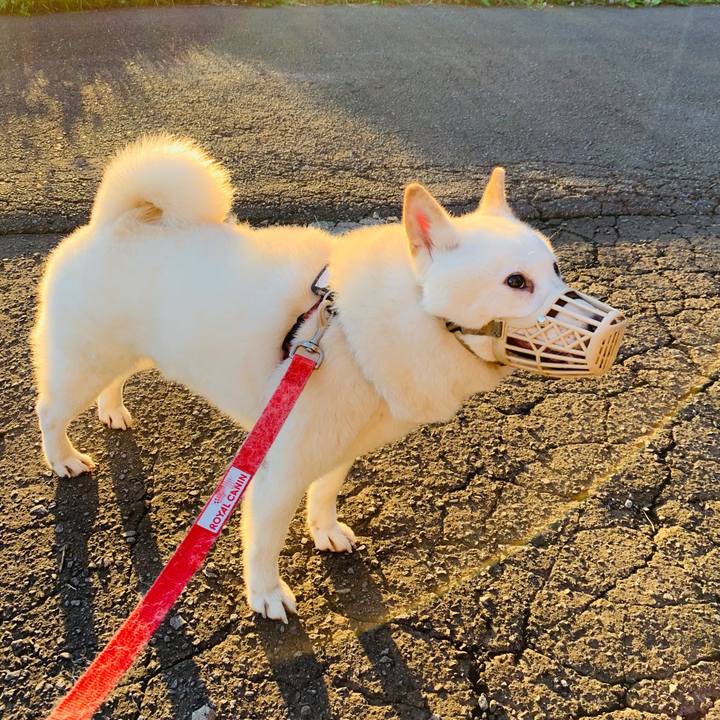 F58725ba 65b8 4a59 a2fd 20513e1d42e7 1598995101834