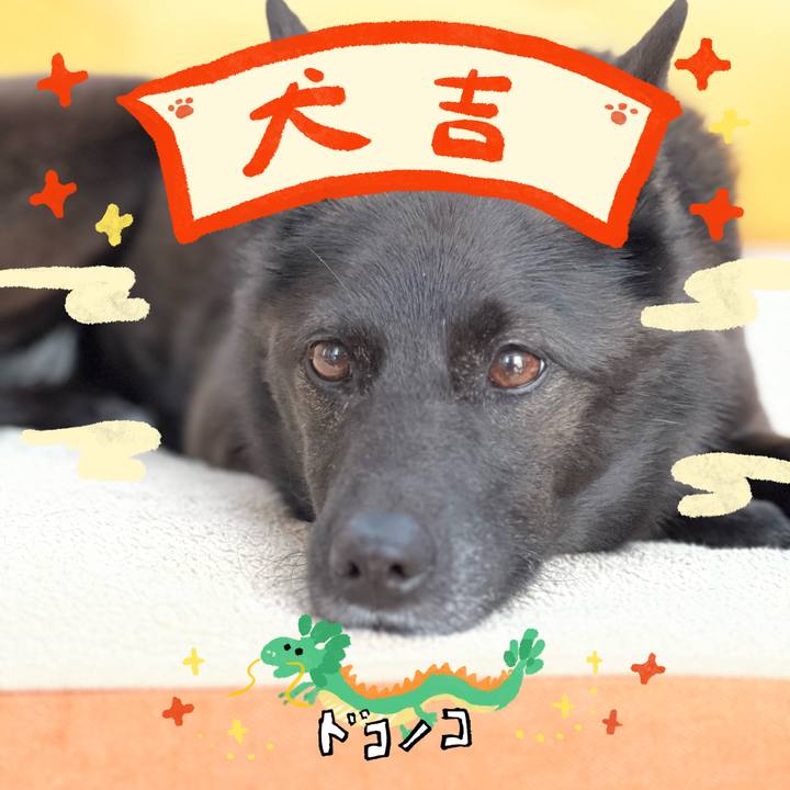 F587453c 8553 49ac 8184 83a02bdc743b 1704203974820