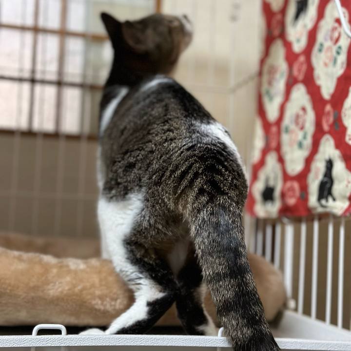 F5874fb6 5c7d 42f6 bc84 da057d6b0b68 1672627220331