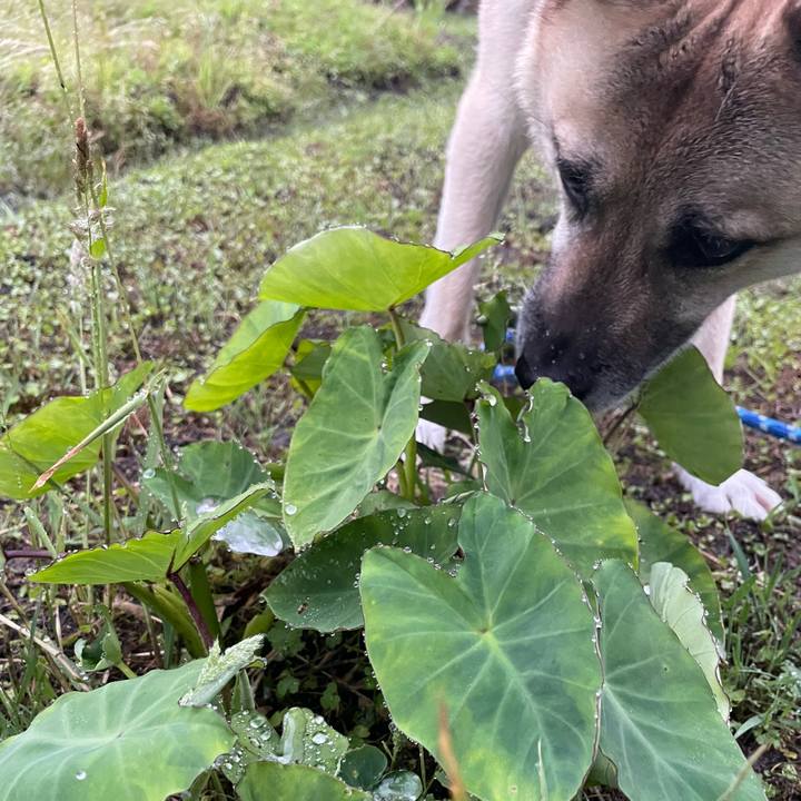 F587515f 0fca 40fc ad71 639568c1af5f 1653913674405