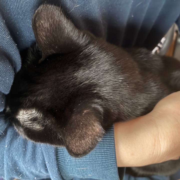 F5875301 c983 4b76 a7ff c5e1df2e9f49 1763418432573