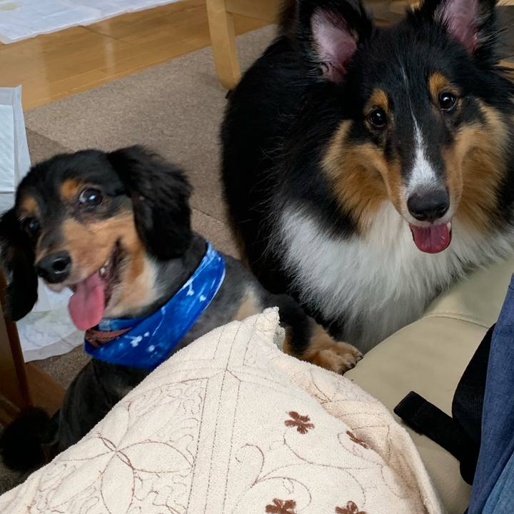 F5879b43 8b4d 4418 b654 104e0f731746 1600033601579