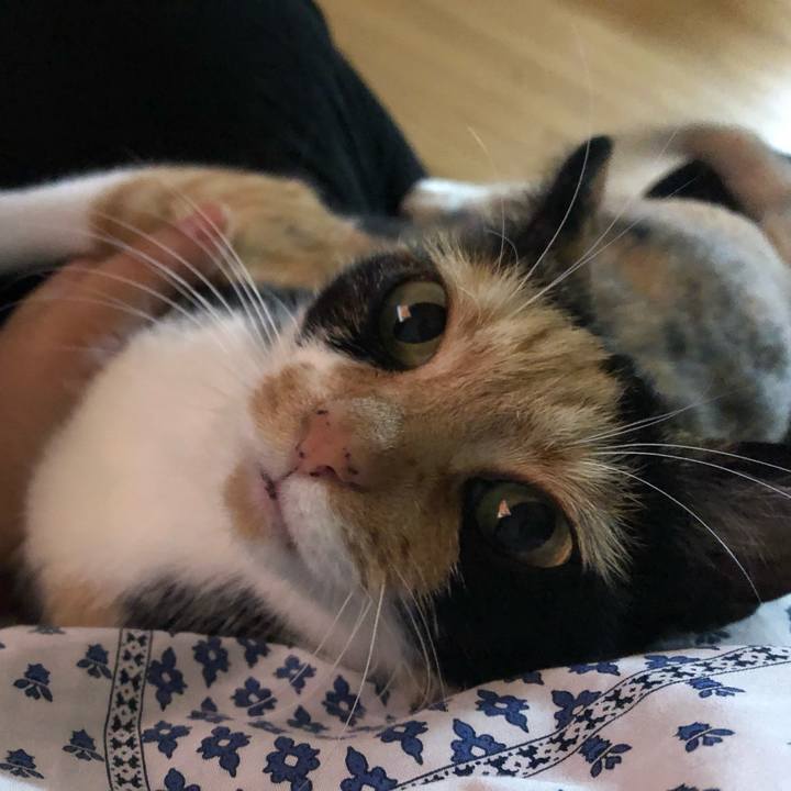 F587a4fc bbec 44e6 b9d6 13ae4044e8aa 1561373795794