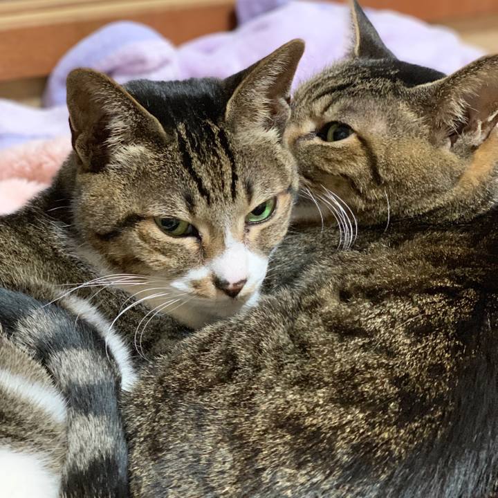 F587ba11 a61d 4e13 b29f 507cafdc272f 1549934585244