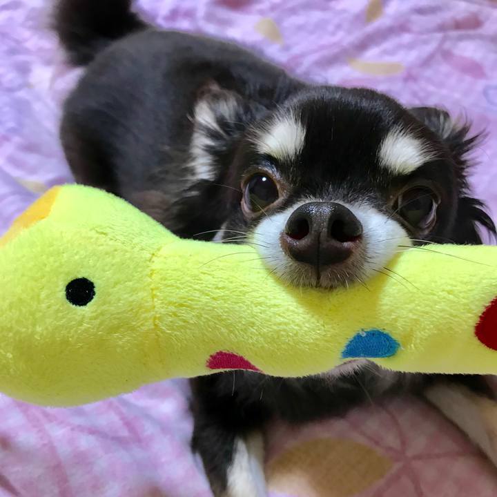 F587c9b4 b62c 45ea bb23 e41c3ab88c0d 1540734680035