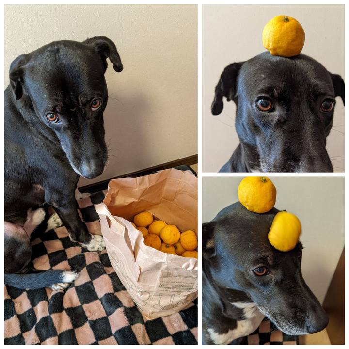 F587da6d 2d51 4cfb a6eb 8274420b5177 1642813491795