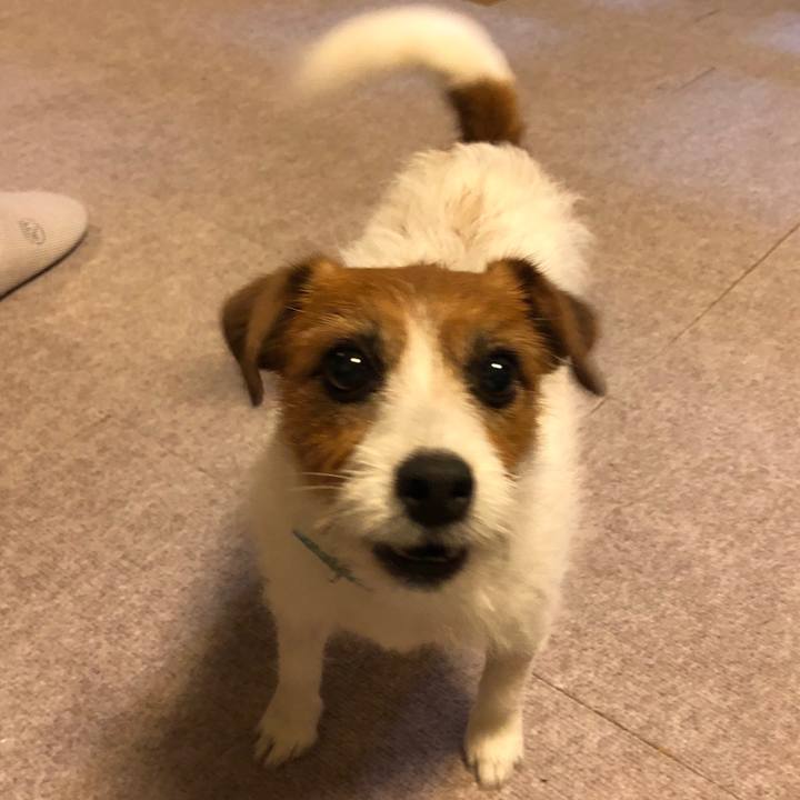 F588261a 78e6 4649 9858 352530cdc4e2 1560687407338