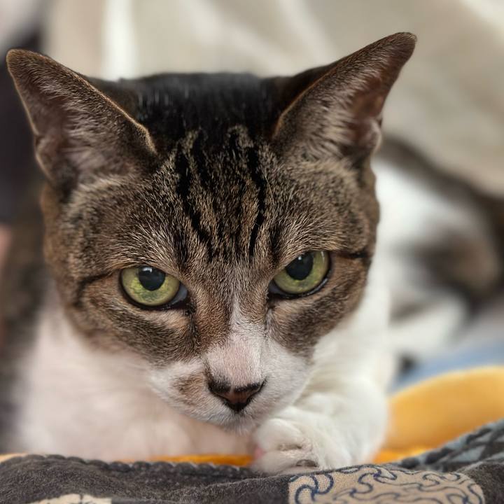 F58826c6 2f6d 4a34 9c7b e45cca4d9fc4 1664504685889