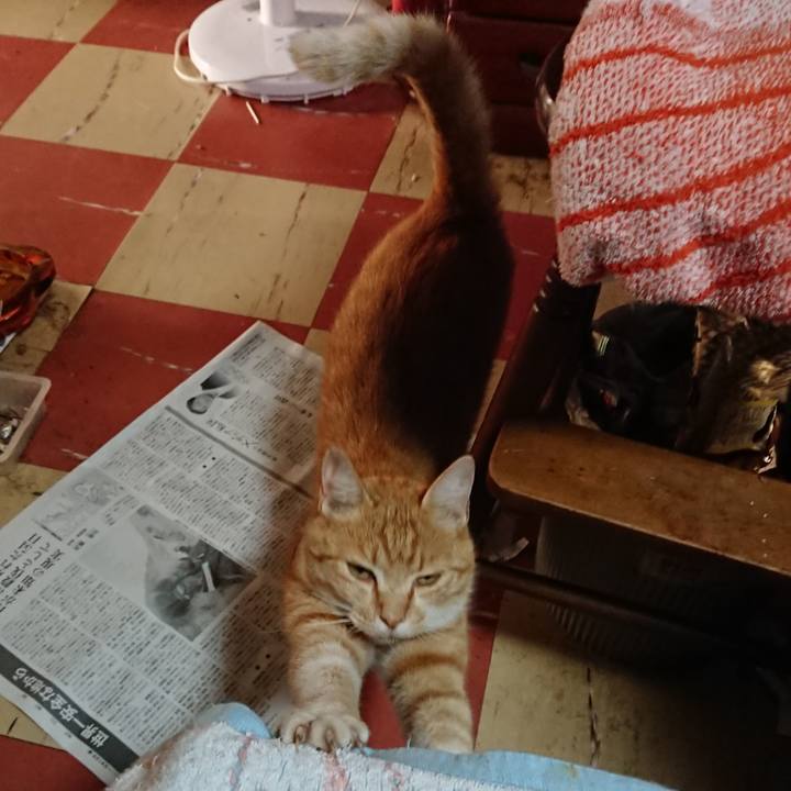 F5884b80 b490 4aef ba75 6b1121b6bc84 1593030597725