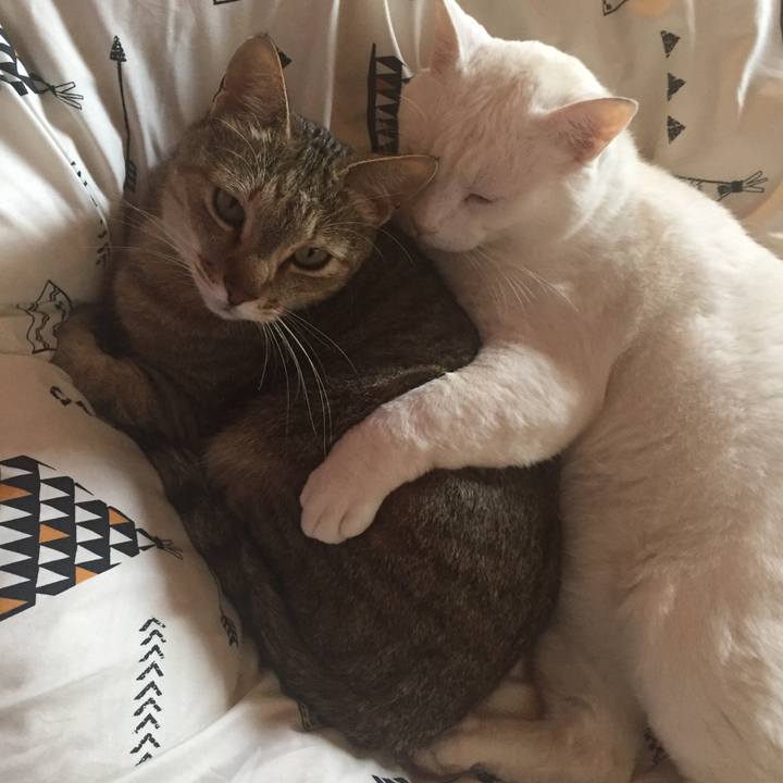 F588fa6b 909c 4296 9f49 76f21090e3ea 1526175812850