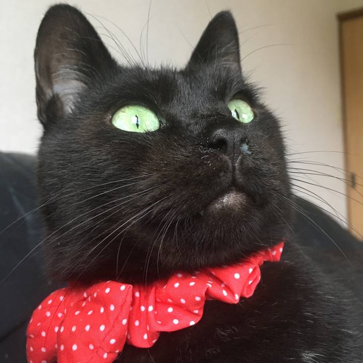 F5891aae 5668 411d 9020 382c681217bb 1537598523784