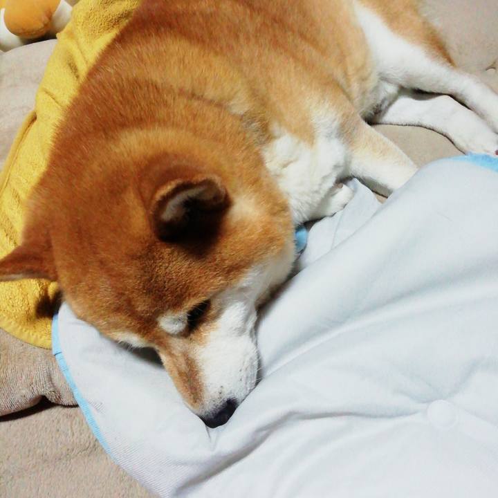 F589473f dee5 4978 9a01 0f6e69081884 1684333526128