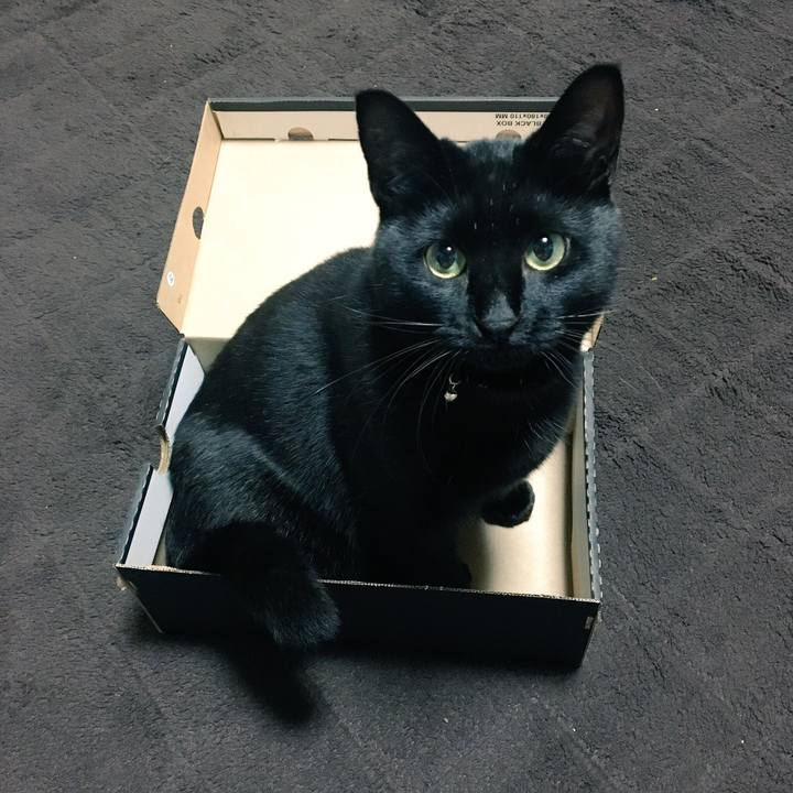 F5898bfc 771e 4e3f b802 8e2d05eb3d0a 1516438021150