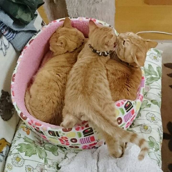 F589c327 a1fd 4fbb ad2a 2f2495a40e93 1544786652783