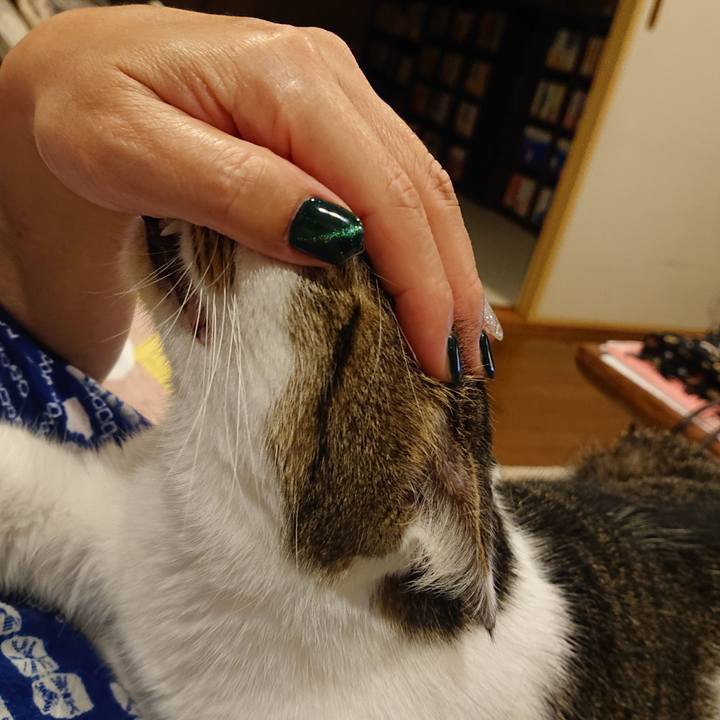 F58a7bb8 f020 4f38 b232 313ab9f702c3 1662643824003