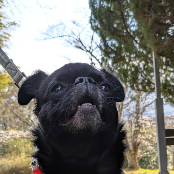 F58a9ff1 b1e4 4802 9ca2 725ebb7655cc 1774265365645